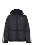 Adidas Originals Padded Jacket Svart