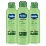 Vaseline Intensive Care Aloe Soothe Moisturiser Lotion 190 ml (Pack of 3)