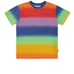 Molo GOTS Roxo T-shirt Rainbow Spray | Blå | 176 cm