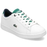 Lacoste Carnaby Evo Vit,gröna 36