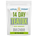 Tea Detox TEATOX  Ginger and Cinnamon Tea Blend  Weight Management  21 Tea bags