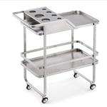 Beauty Hair Dressing Trolley Cart, Beauty Shelf Stainless Steel Trolley Cart Storage Tray Hairdresser Tool Trolley, 2 Tier,Storage Tray,D