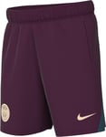 Nike Shorts PSG Y NK DF Strk Short Kz, Bordeaux/Geode Teal/Guava Ice, FN9954-610, XL