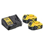 Pack 2 batteries xr 18v 5ah li-ion + chargeur dewalt - prix net - NEUF