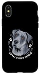 iPhone X/XS Blue Heeler Owner Lovey Dog Work Herding Australian Cattle Case