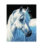 YIYYI DIY Painting By Numbers White Horse Acrylic Painting Handpainted Animal Oil Painting Home Decoration Fun At Home 40X50Cm Frame