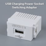 USB-strömadaptermodul 220V 5V Transformator Väggkontakt Vit