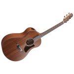 Ibanez AAM54 OPN Sapele Open Pore Natural