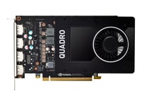 NVIDIA Quadro P2200 - Carte graphique - Quadro P2200 - 5 Go GDDR5X - PCIe 3.0 x16 - 4 x DisplayPort - pour Workstation Z2 G4 (MT), Z2 G5 (tour), Z4 G4, Z6 G4, Z8 G4; ZCentral 4R