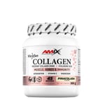 Amix - Viscofan Collagen Drink, Pina Colada- 300 g