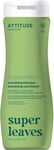 ATTITUDE Nourishing Hair Shampoo, EWG Verified, For Dry and Damaged Hair, Natur