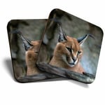 2 x Coasters - Caracal African Lynx Cat Home Gift #3171