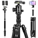 JOILCAN Camera Tripod, 80" Compact Aluminum Tripod Monopod with 360°Panorama Ball Head, Lightweight Travel Tripod for Canon Nikon Sony DSLR Camera with Phone Holder, Max Load 22lbs(Black)