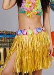 Adult Size Womens Short Hula Girl Grass Skirt Hawaiian Fancy Dress