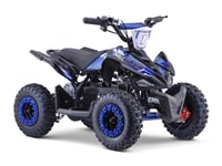 Kids Mini Quad Bike 800W Electric Blue in Home & Outdoor Living > Sports & Outdoors > Bikes & Scooters > Mini Quad Bikes > Electric