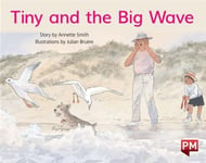 PM YELLOW TINY &amp; THE BIG WAVE PM STORYBO