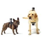 Harnais pour chien support de poitrine pour Gopro hero 8 7 6 5 4 3 + Go pro caméscope chien sangle de poitrine ceinture SJCAM SJ4000 Xiaoyi 4K caméra