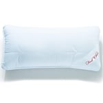 CelinaTex First Class Oreiller 40 x 60 cm Microfibre Oreiller Fibre Creuse Oreiller Cervical Respirant résistant à l'ébullition