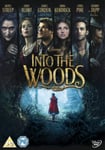 Into The Woods DVD