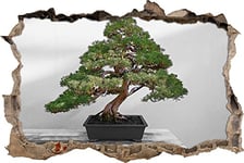 pixxp Rint 3D WD 4942 _ 62 x 42 Bonsaï Arbre sur Table en Bois percée 3D Sticker Mural Mural en Vinyle Noir/Blanc 62 x 42 x 0,02 cm