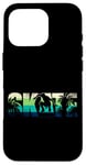 iPhone 16 Pro Skate Vintage 80S 90S Retro Beach Palm Tree Case