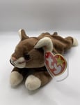 TY Beanie Baby Pounce The Cat With Tag In Plastic Protector B