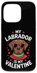 iPhone 13 Pro Chocolate Labrador My Valentines Hearts Day Dog Mom Dad Case