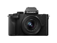 Panasonic Lumix G100D Mirrorless Camera with 12-32mm Lens