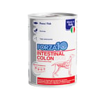 Forza10 Actiwet Intestinal Colon Märkäruoka koirille - Sarja %: 24 x 390 g