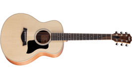 Taylor GS Mini Sapele