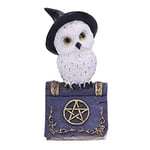 Nemesis Now Avian Spell Owl Figurine Purple 12.5cm, Resin, Blue Avian Spell Figurine, Witch Owl Figurine, Perfect Addition to Any Witchcraft Collection, Cast in the Finest Resin, Expertly Hand-Painted