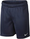 Nike Park II Knit Short Mixte Enfant sans Slip Intérieur, Bleu (Midnight Navy/White), XS