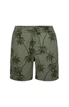 O'NEILL Tasman Volley Short Shorty Homme, 36015 Vert, L/XL