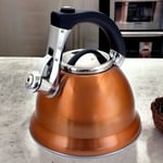 3L Whistling Copper Kettle Stovetop Stainless Steel Gas Electric Induction Hobs