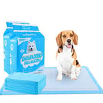 Edipets, Puppy Pads, Dog Training Pads, 60 cm x 60 cm, Absorbent Training Pads, Disposable Toilet Mat for Puppies, Puppy Training Pads