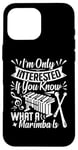 iPhone 16 Pro Max Marimba Player Percussion Instrument Musician Marimbist Case