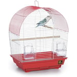 PREVUE PET PRODUCTS South Beach Dome Top Cage à Oiseaux, Corail