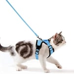 Wdmiya Harnais Chat Anti-évasion Harnais Chaton Laisse pour Chaton Anti Fugue Arnet Chat Réglable Harnet Chaton Respirant Colliers, Harnais et Laisses pour Chats,Petit Chien,Lapin