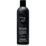 Hilseenesto shampoo rasvoittuville miesten hiuksille Alfaparf Milano Blends Of Many 250 ml