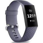 Vattentät ersättningsklockarmband Fitness Sport Band Armband Kompatibel med Fitbit Charge 4 / Fitbit Charge 3 Se- Flerfärgad Blue Gray Large