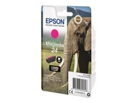 Epson 24 - 4.6 Ml - Magenta - Original - Blekkpatron - For Expression Photo Xp-55, 750, 760, 850, 860, 950, 960, 970  Expression Premium Xp-750, 850