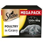 120 X 85g Sheba Select Adult Wet Cat Food Pouches Mixed Poultry In Gravy