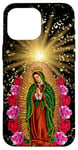 iPhone 16 Pro Max Our Lady Virgen De Guadalupe Virgin Mary Case