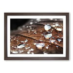 Big Box Art Rain Drops on an Autumn Leaf (3) Framed Wall Art Picture Print Ready to Hang, Walnut A2 (62 x 45 cm)