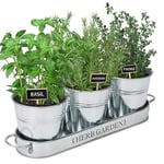 PERFNIQUE Indoor Herb Garden, Herb Garden Planter for Indoor/Outdoor, Farmhouse Plant Pots, Windowsill Herb Garden Kit with Tray, Window Pots for Indoor Plants (Galvanized)