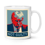 Donald Trump Mug Shot Poster Red Blue Not Guilty 10oz Mug Cup Funny Jail Joke