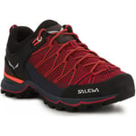 Chaussures Salewa  Ws Mtn Trainer Lite 61364-6157