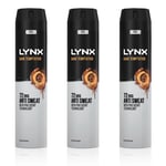 Lynx Mens XXL Dark Temptation 72H Sweat Protection Anti-Perspirant Deodorant 3x250ml - Red - One Size