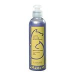 LADYBEL Lady Silver Shampooing pour Chien Gris