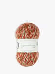 West Yorkshire Spinners Signature 4 Ply Yarn, 100g